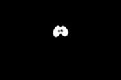 Dans le noir